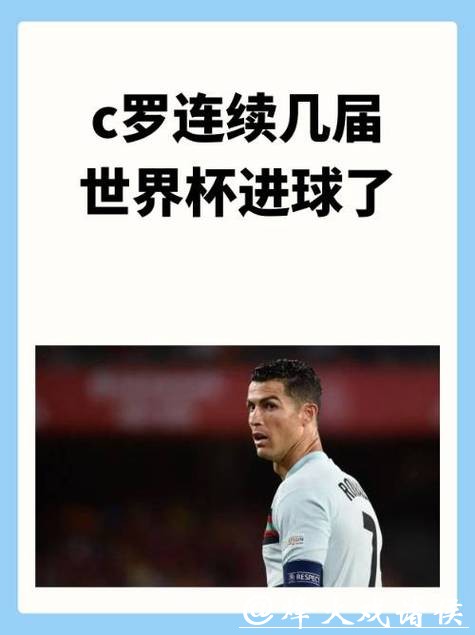 在哪里进行世界杯投注比较安全可靠？